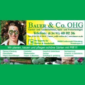 Bild von Bauer & Co. OHG Landschafts- und Gartenbau