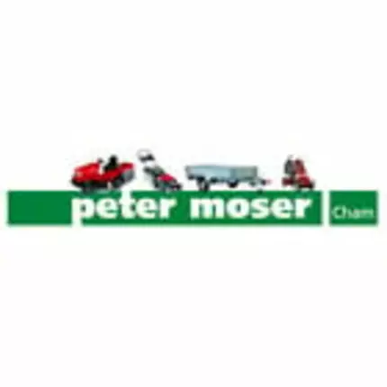 Logo od Moser Peter GmbH