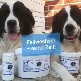 Bild von medicaVET Animal Care Inh. Nina Radünz