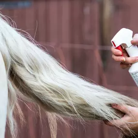 Bild von medicaVET Animal Care Inh. Nina Radünz