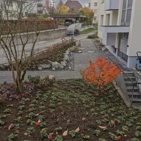 Housi's Allraund Gmbh