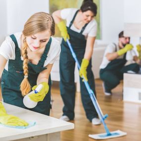 Bild von House and Cleaning Company