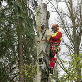 Bild von FMK Forstarbeiten & Maschinenservice Eric Kretschmer