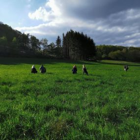 Bild von Die Waldfrauen