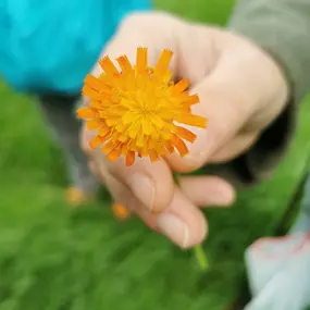 Bild von Die Waldfrauen