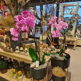 Bild von Gärtnerei und Blumenladen Bichl