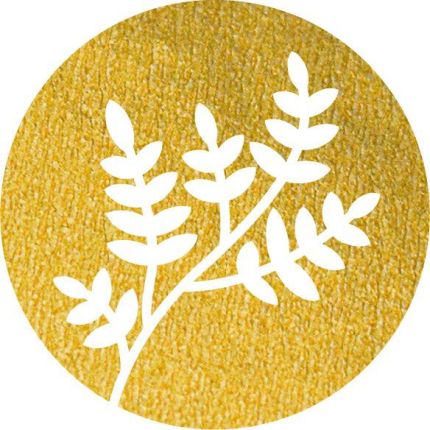 Logo da Bar Botanik