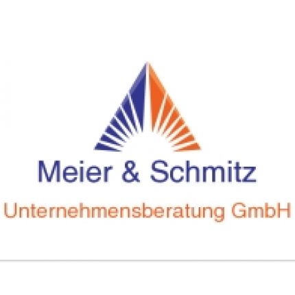 Logo from Meier & Schmitz Consulting GmbH