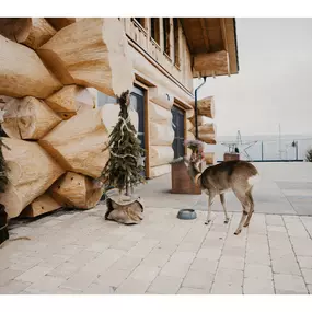 Bild von Naturhaus Lanz GmbH