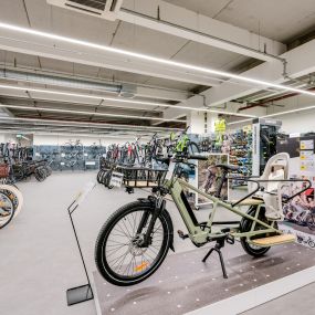 Bild von DECATHLON