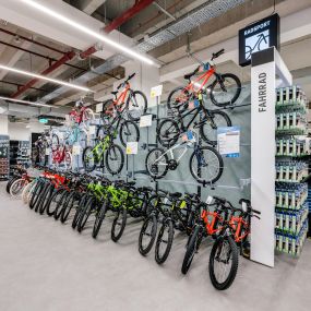 Bild von DECATHLON