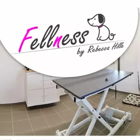 Bild von Fellness Professionelle Hundepflege