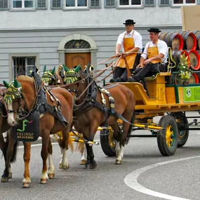 Bild von FREIHOF Brauerei & Hofstube