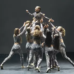 Bild von DanceTown GmbH