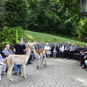 Stiftung Alters- Pflegeheim Riedacker - Alpakabesuch im Paradiesli beim Wohnhuus Niesen