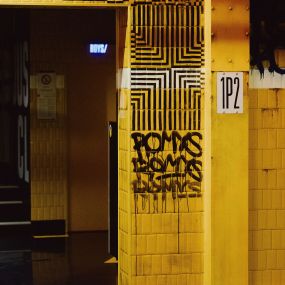 ROMY S. Nightclub Streetart