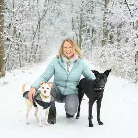 Bild von Trust in Dogs - mobile Hundeschule