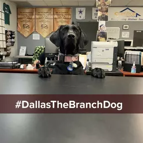 Bild von SRS Building Products