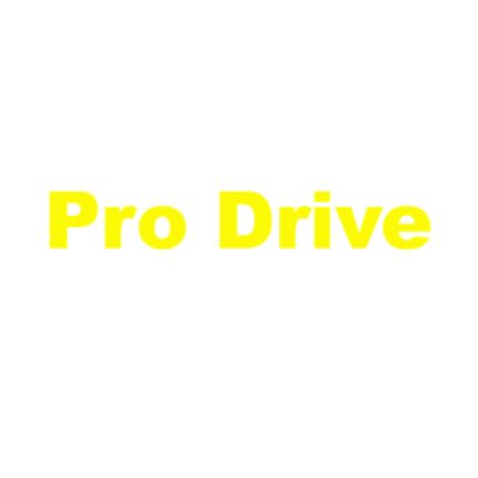 Logo fra Pro Drive