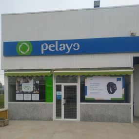 Bild von Oficina Seguros Pelayo