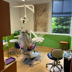 Tooth & Tusk Operatory Area
