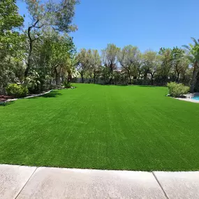 Bild von Purchase Green Artificial Grass