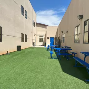 Bild von Purchase Green Artificial Grass