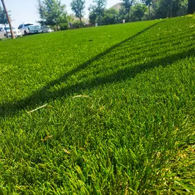 Bild von Purchase Green Artificial Grass