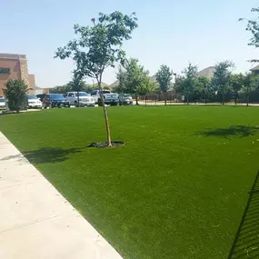 Bild von Purchase Green Artificial Grass