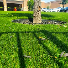 Bild von Purchase Green Artificial Grass