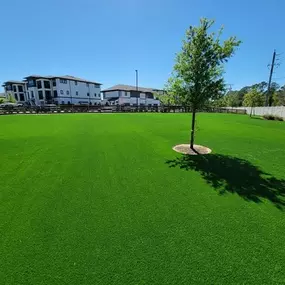 Bild von Purchase Green Artificial Grass