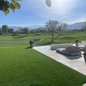 Bild von Purchase Green Artificial Grass
