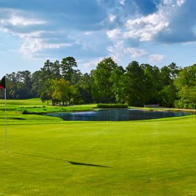 Bild von The Trails (North & West Courses) at the Woodlands Country Club