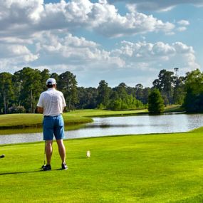 Bild von The Trails (North & West Courses) at the Woodlands Country Club