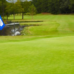 Bild von Stonehenge Golf & Country Club
