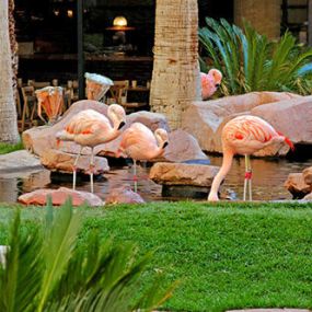 Bild von Flamingo Las Vegas