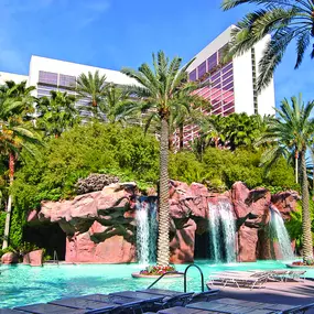 Flamingo Hotel Las Vegas Pool