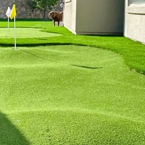 Bild von Purchase Green Artificial Grass