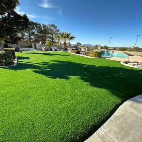 Bild von Purchase Green Artificial Grass