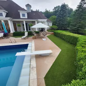 Bild von Purchase Green Artificial Grass