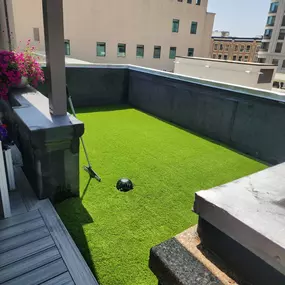 Bild von Purchase Green Artificial Grass