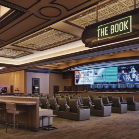 Make game day legendary at our 5,300 sq ft race and sportsbook, providing a best-in-class sports wagering experience at Caesars Sportsbook at Horseshoe Hammond. Bet on everything from professional and collegiate sports to boxing, mixed martial arts, and auto racing. The only sportsbook app with Caesars Rewards.