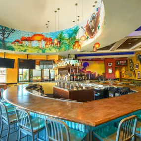 Bild von Mellow Mushroom St. Augustine