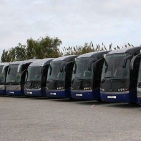 transit-bus-buses-empresa-03.jpg