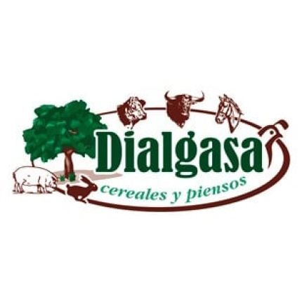 Logo van Dialgasa