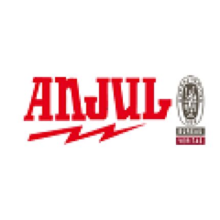 Logo from Anjul Instalaciones.