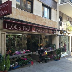 floristeria-petalos-1.jpg