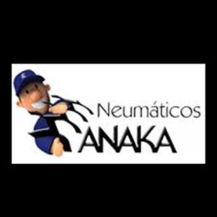 Logo von Neumáticos Anaka
