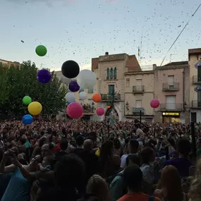 globos-giramon-02-g.jpg