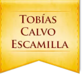 LOGOTOBIASCALVO.png